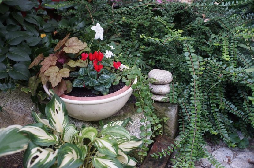  - August 2019- August 2020