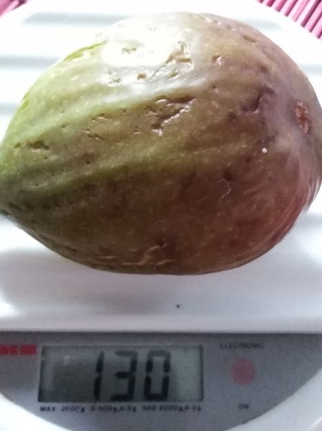 Smochine gigant... - ProVegan