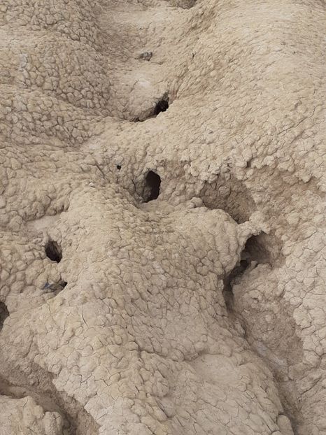  - Vulcani Norocoși concediu 2020