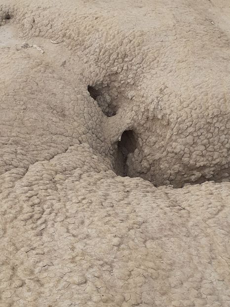  - Vulcani Norocoși concediu 2020