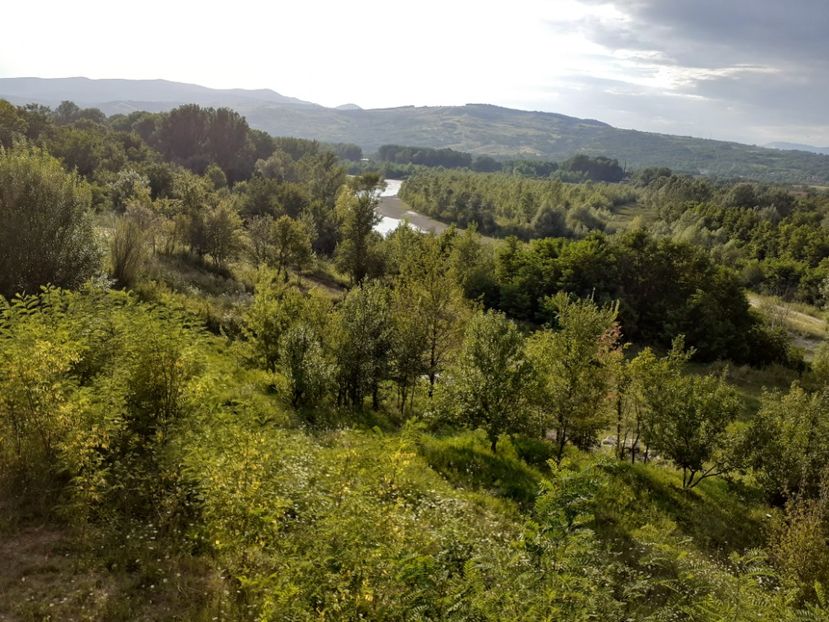  - Vulcani Norocoși concediu 2020