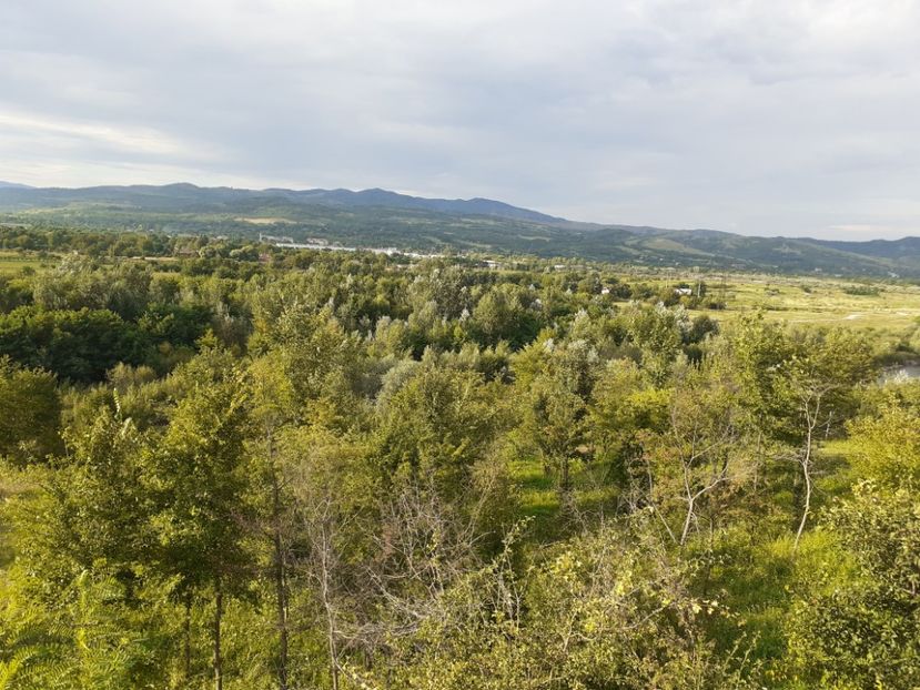  - Vulcani Norocoși concediu 2020