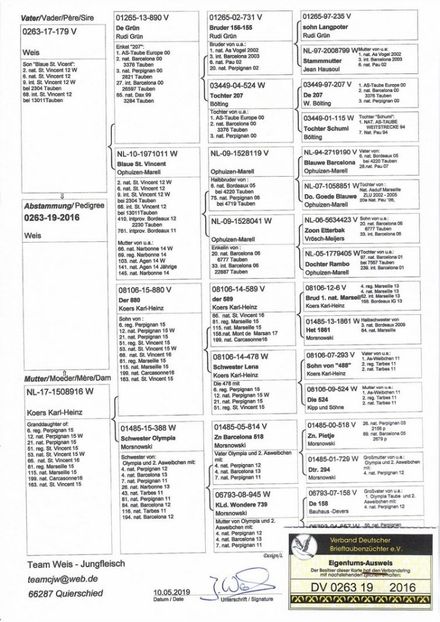 Pedigree weis - Femele