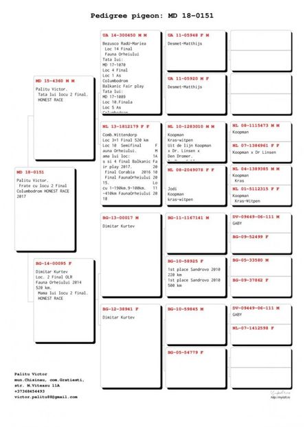 md-18-151-f-full-sister-2-final-honest-Palitu V - Femele