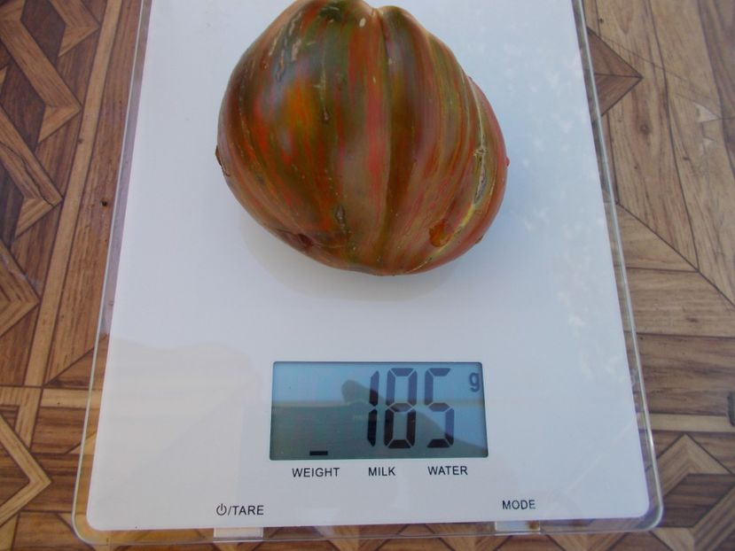  - SEMINTE ROSII - T 579 BERKELEY TIE DYE HEART