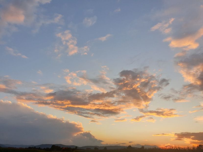  - - O - Fotografii x