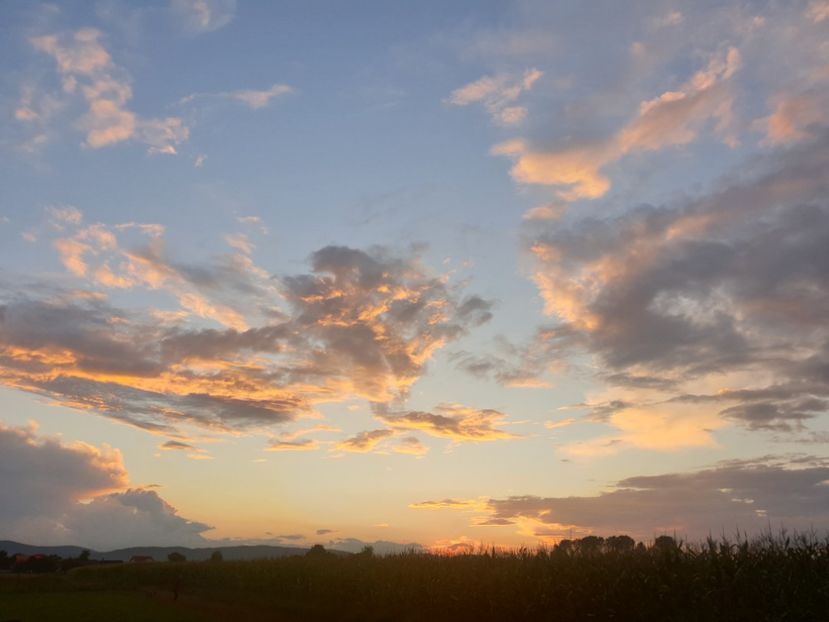  - - O - Fotografii x