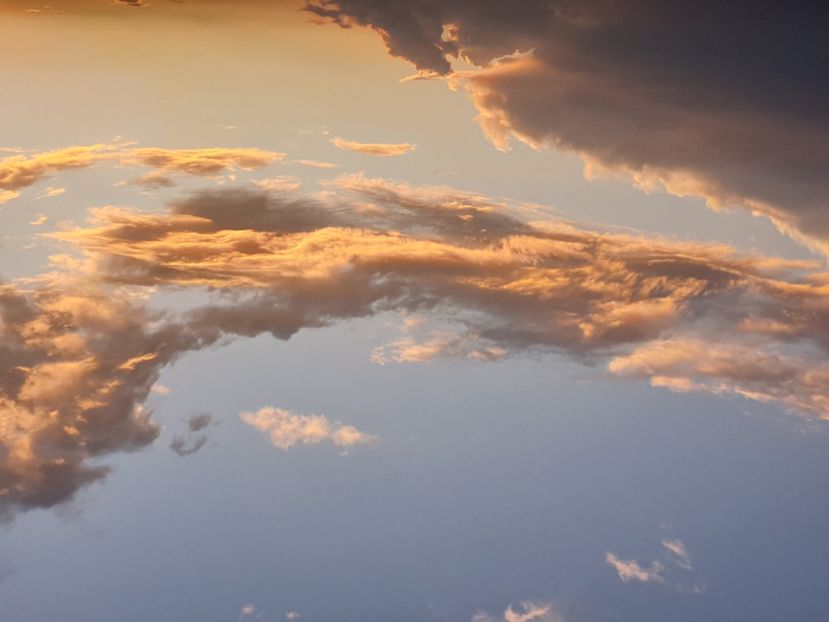  - - O - Fotografii x