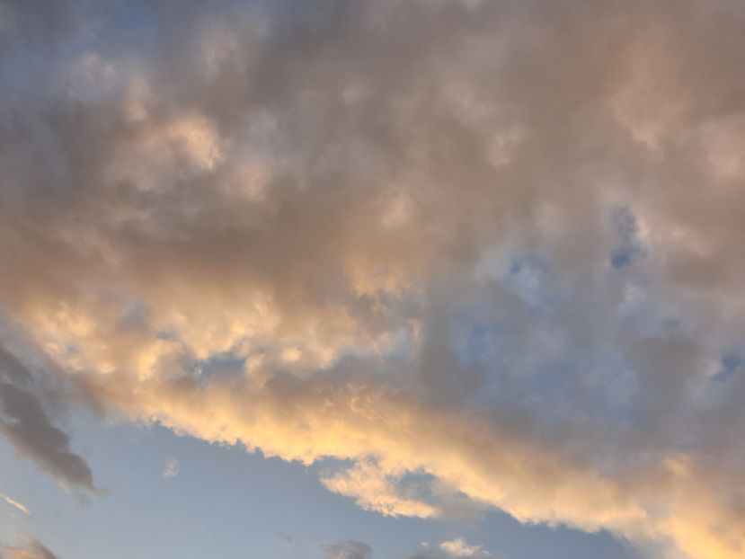  - - O - Fotografii x