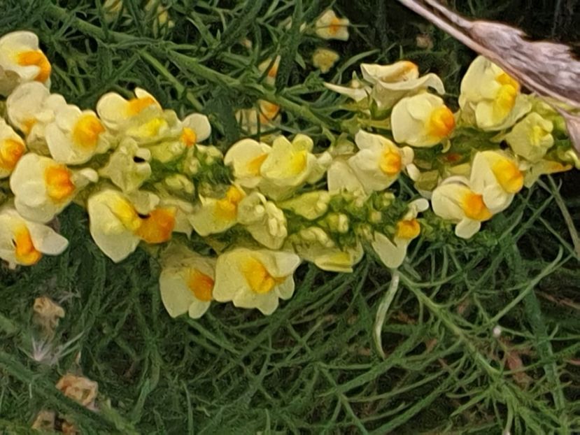 2020 - - O - Fotografii x