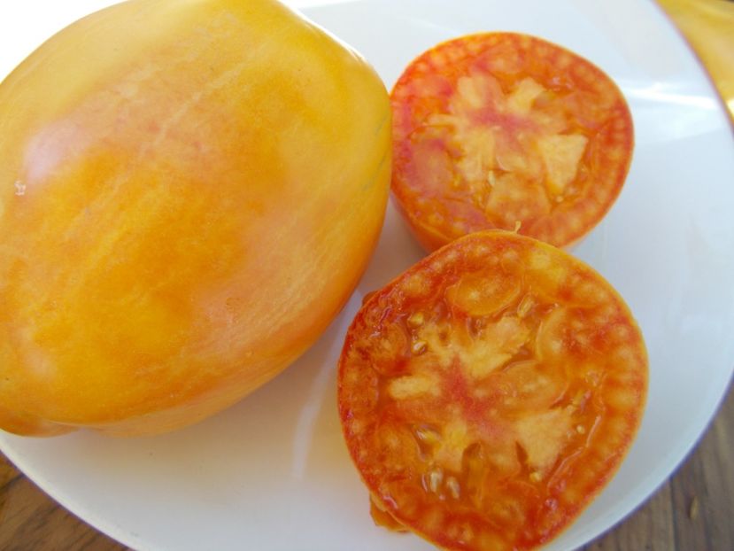  - SEMINTE ROSII - T 477 YELLOW FIRE - PHIL