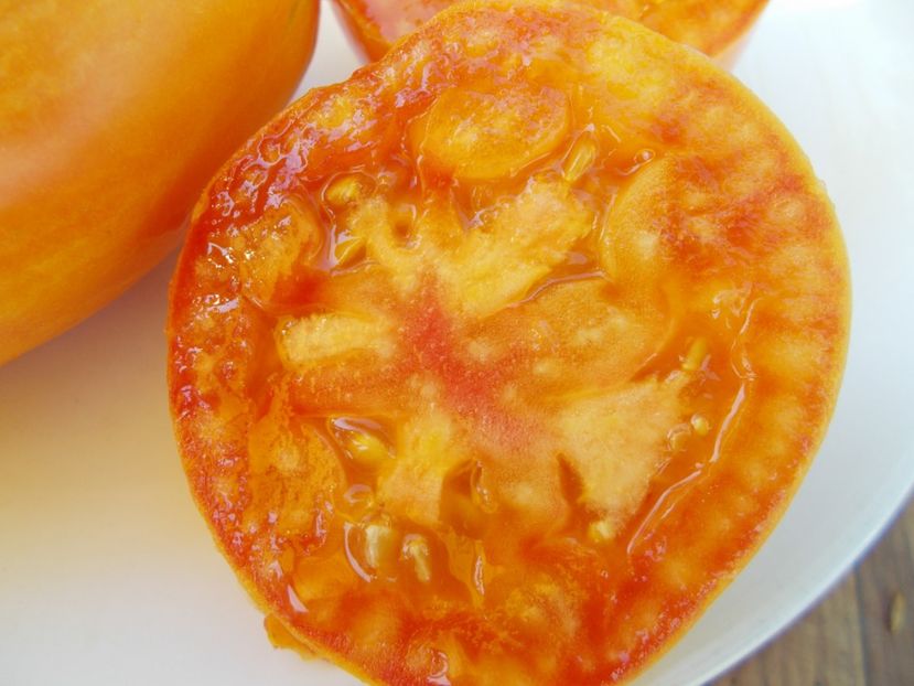  - SEMINTE ROSII - T 477 YELLOW FIRE - PHIL