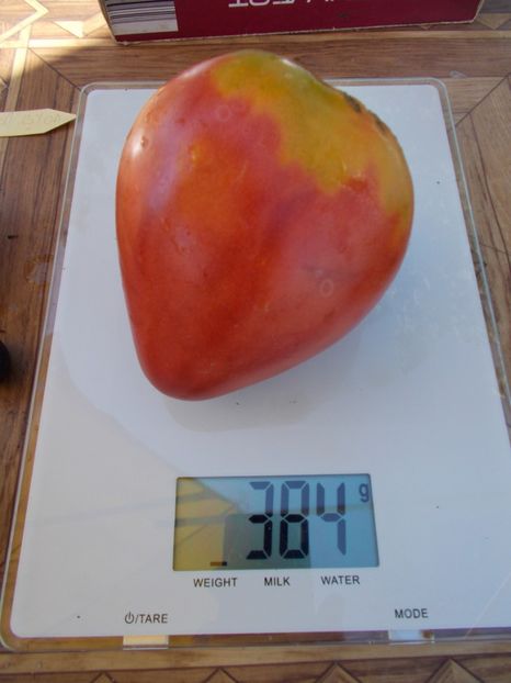  - SEMINTE ROSII - T 495 BABUSHKA BYKA