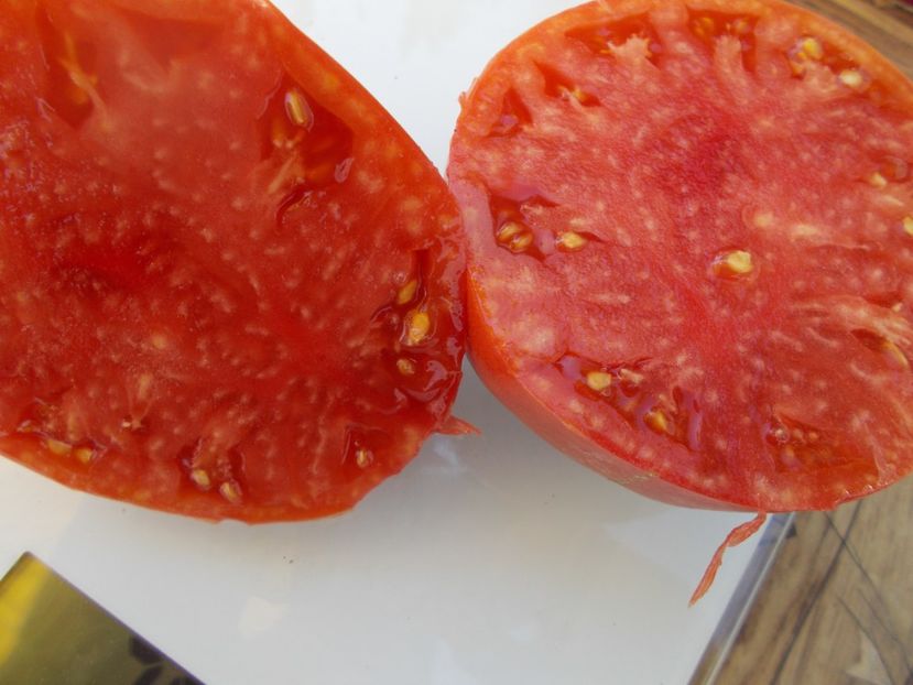  - SEMINTE ROSII - T 495 BABUSHKA BYKA