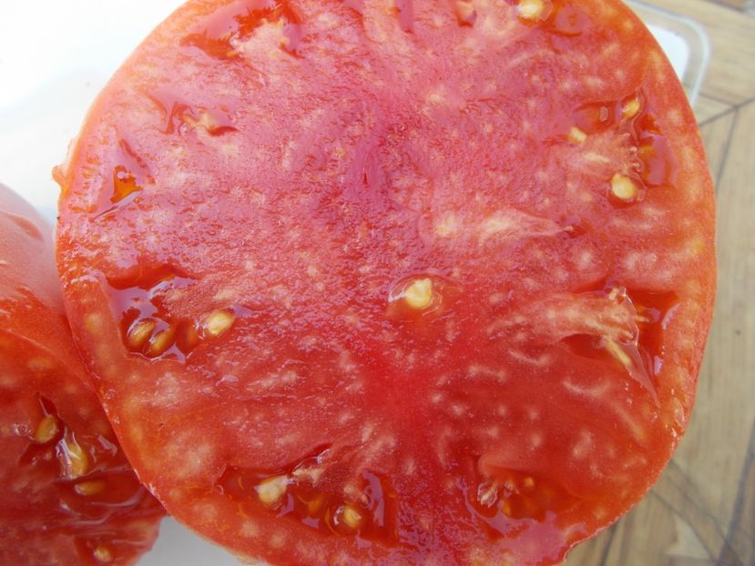  - SEMINTE ROSII - T 495 BABUSHKA BYKA