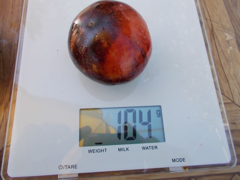  - SEMINTE ROSII - T 608 PERSUASION