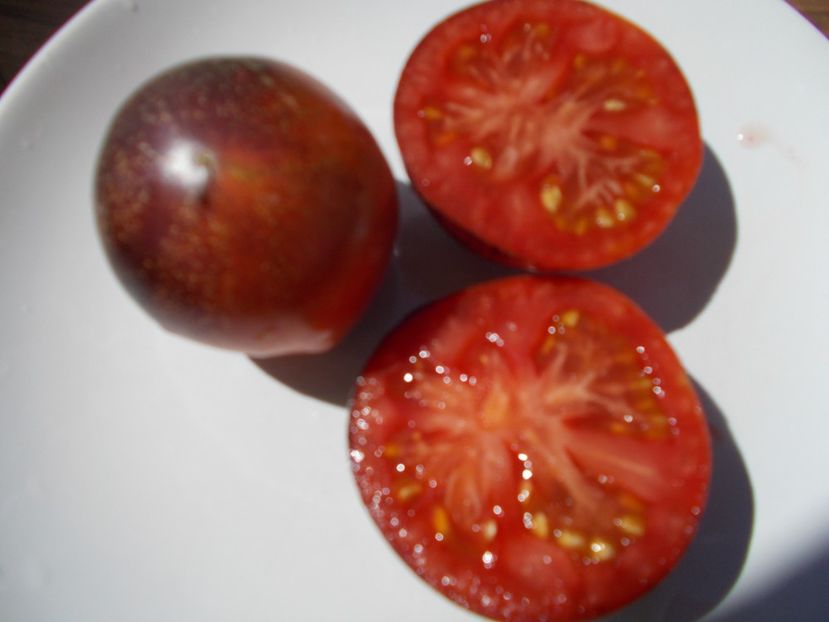  - SEMINTE ROSII - T 608 PERSUASION