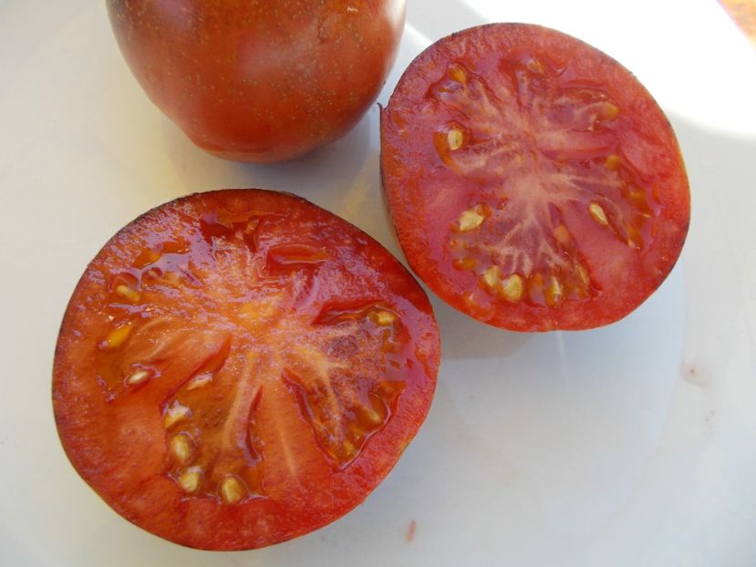  - SEMINTE ROSII - T 608 PERSUASION