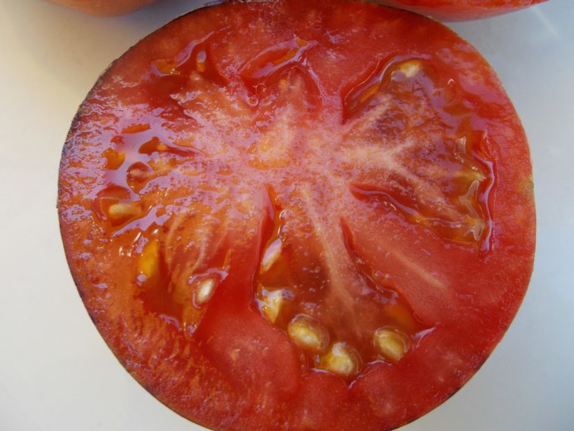  - SEMINTE ROSII - T 608 PERSUASION