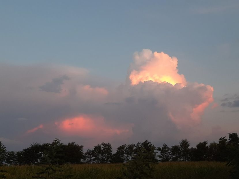  - Ieșire cu prietenii în august 2020