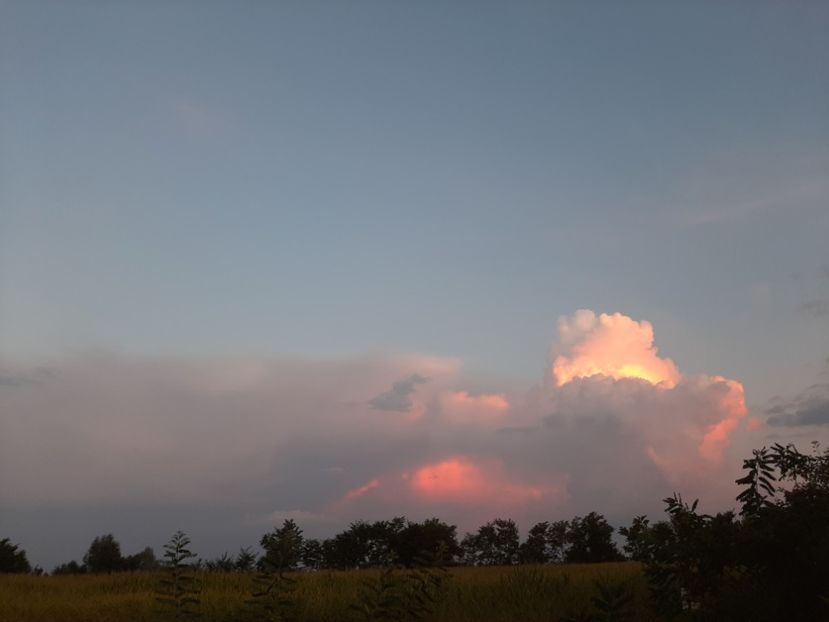  - Ieșire cu prietenii în august 2020