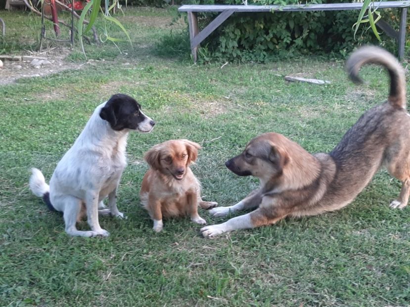  - Ieșire cu prietenii în august 2020