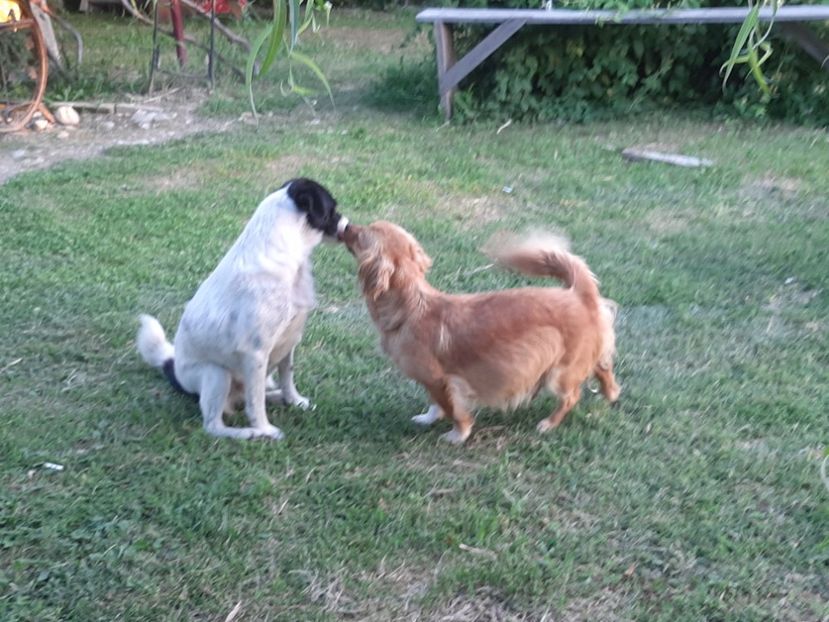  - Ieșire cu prietenii în august 2020