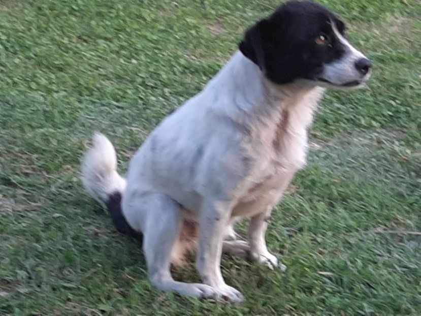  - Ieșire cu prietenii în august 2020