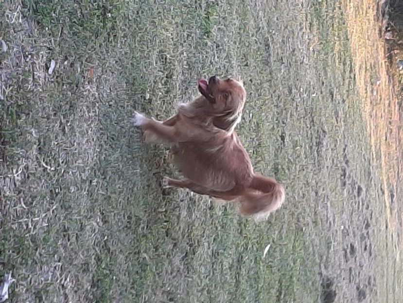  - Ieșire cu prietenii în august 2020