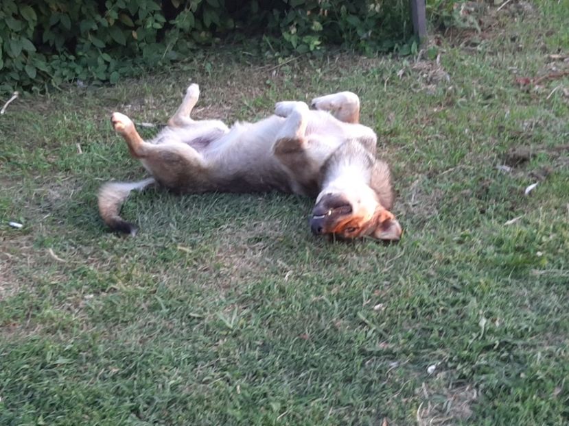  - Ieșire cu prietenii în august 2020