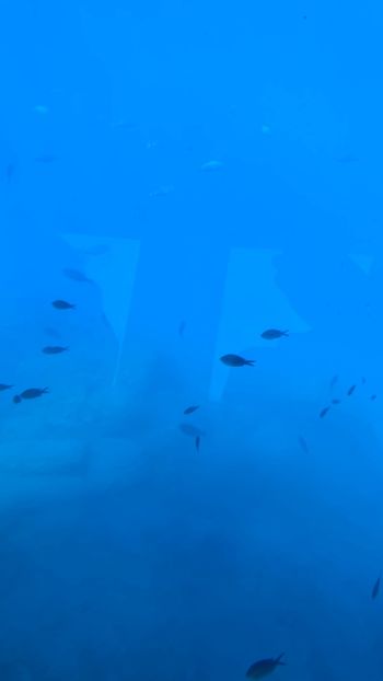 5CF08357-FB2F-400D-8E99-56606A882A21 - Poze Grecia