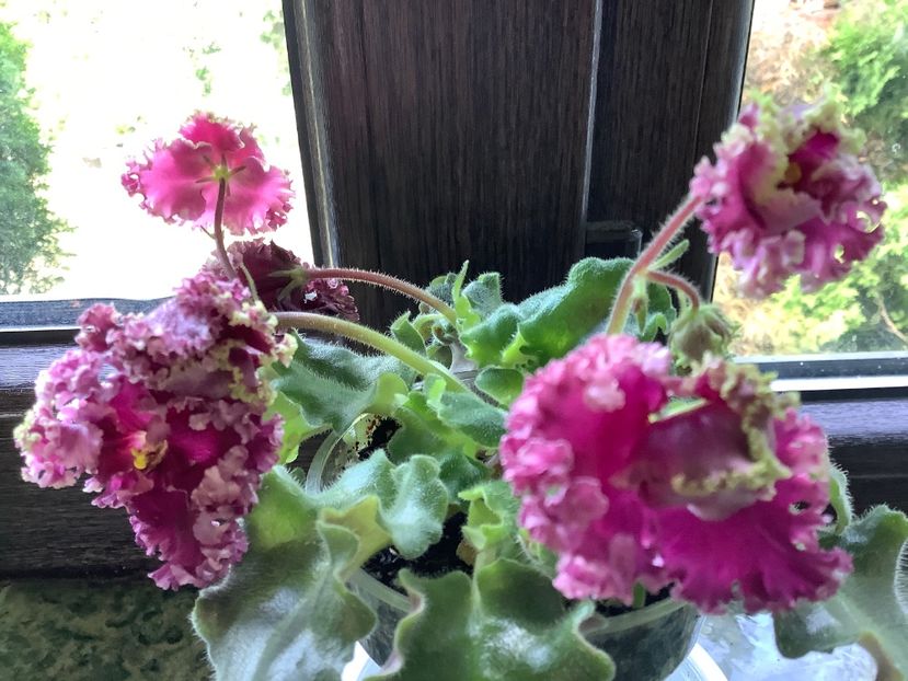  - AV Cyganskaya Sladba