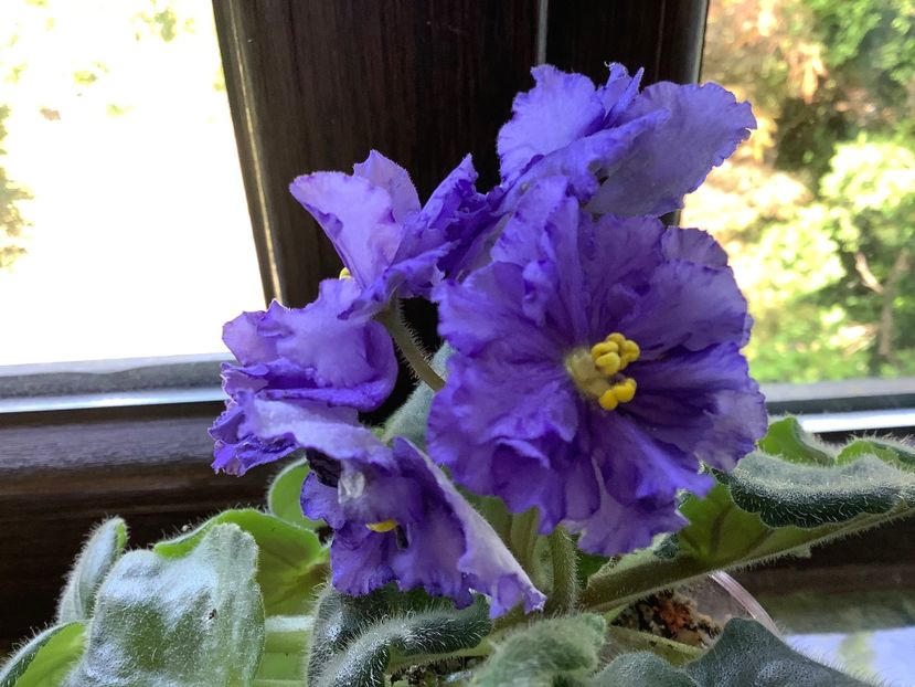 613142E2-E36E-4642-B6AC-D7EE532A0105 - EK Vladimir