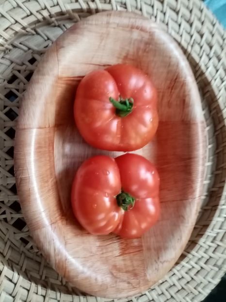  - TOMATE 2020 ALBUM 15