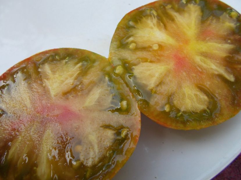  - SEMINTE ROSII - T 595 PIT VIPER F7