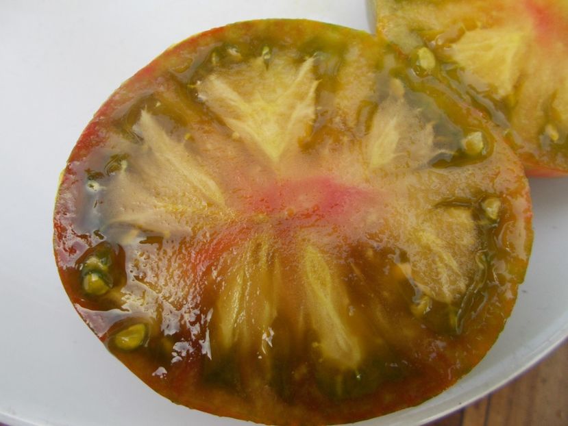  - SEMINTE ROSII - T 595 PIT VIPER F7