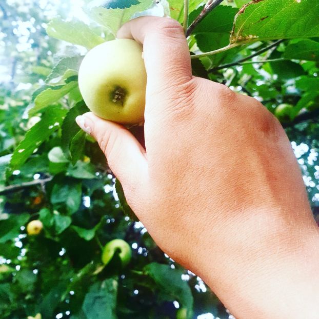  - - O - Fotografii x