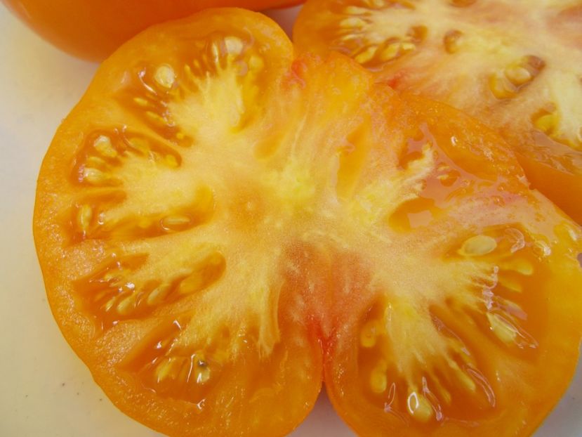  - SEMINTE ROSII - T 611 BANJAM RUMI ORANGE