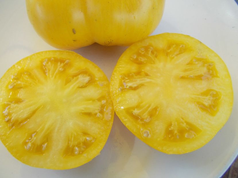  - SEMINTE ROSII - T 488 BEAUTY MARK