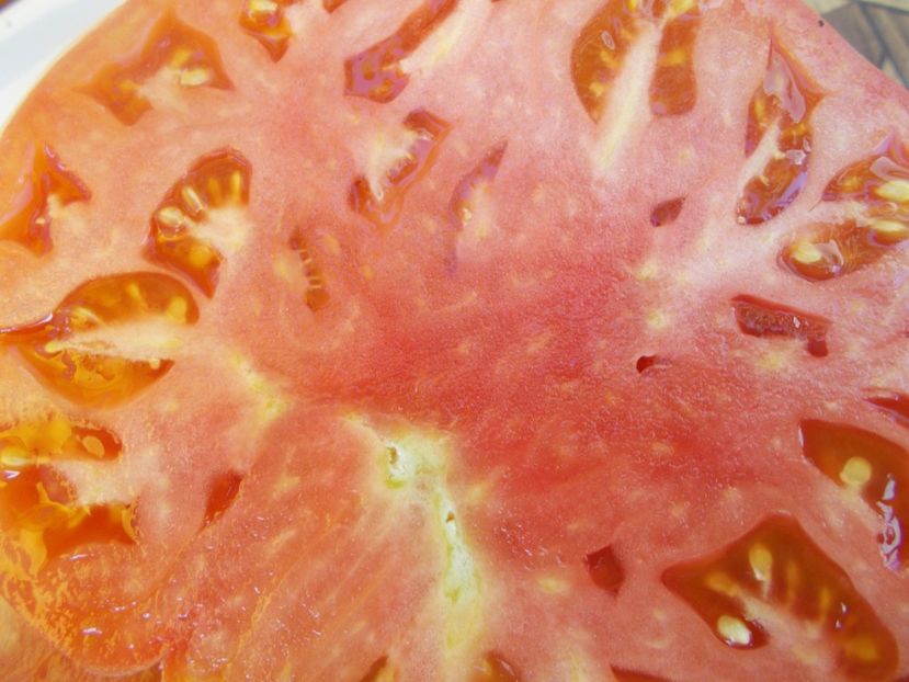  - SEMINTE ROSII - T 625 TRI GEGANGEN MISCHUNG