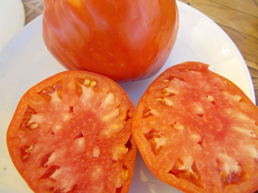  - SEMINTE ROSII - T 620 MARINULYA