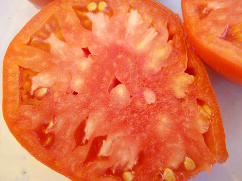  - SEMINTE ROSII - T 620 MARINULYA