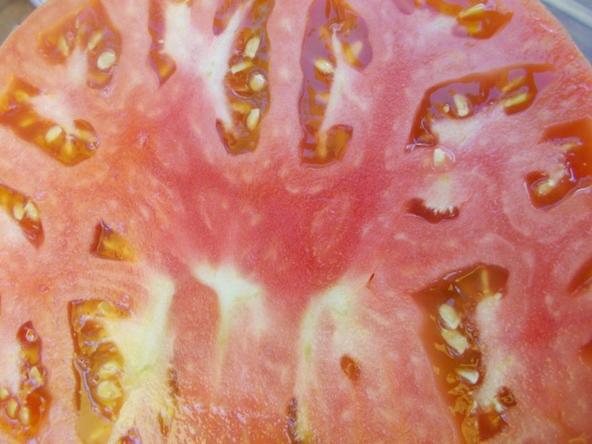  - SEMINTE ROSII - T 575 ZUCKERRIESE - SAHARNY GIANT