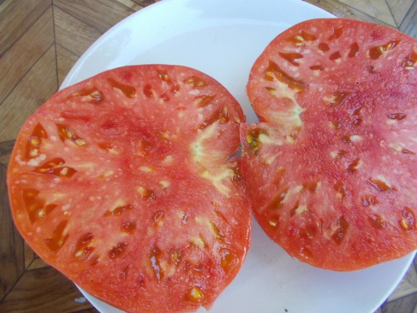  - SEMINTE ROSII - T 544 MALINKA - KASACHSTAN