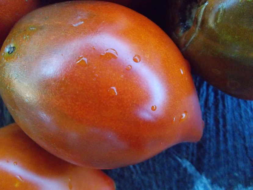  - SEMINTE ROSII - T 478 LINNAEUS HEART