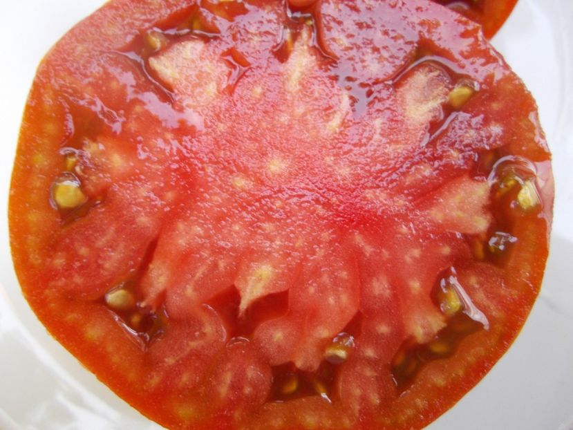  - SEMINTE ROSII - T 478 LINNAEUS HEART