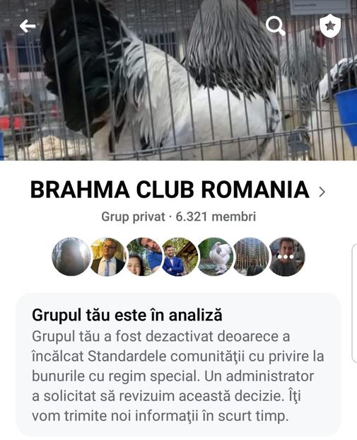 Screenshot_20200813-040225_Facebook - BRAHMA CLUB ROMANIA Facebook