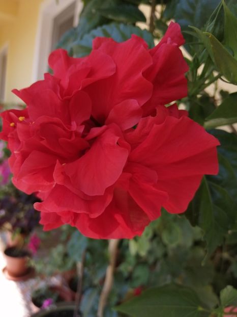  - Balsam pentru suflet