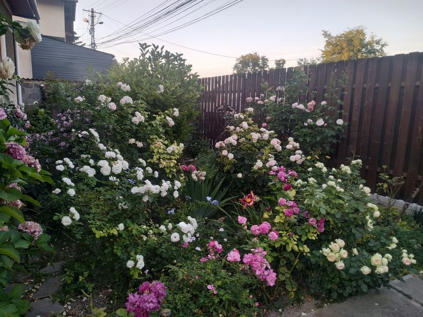  - August 2019- August 2020