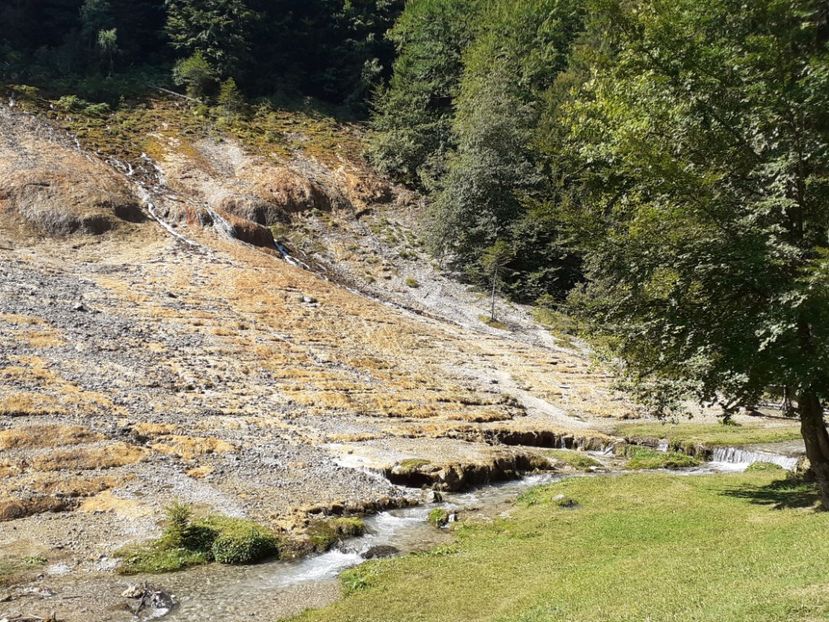  - Vulcani Norocoși concediu 2020